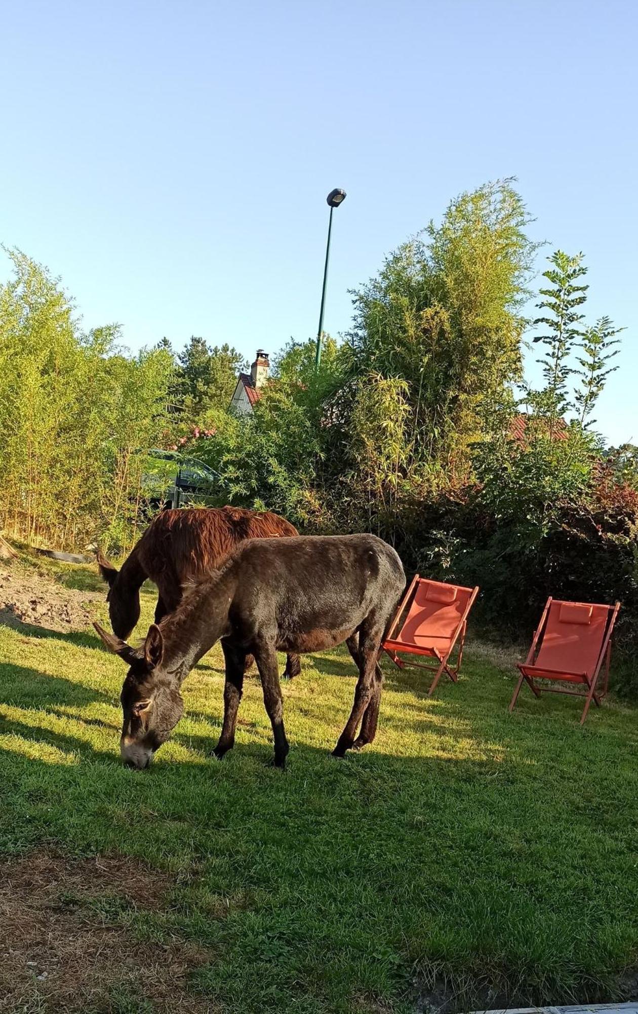 Les Anes Du Chateau D Hardelot, Pour 2 A 5 Pers Condette エクステリア 写真